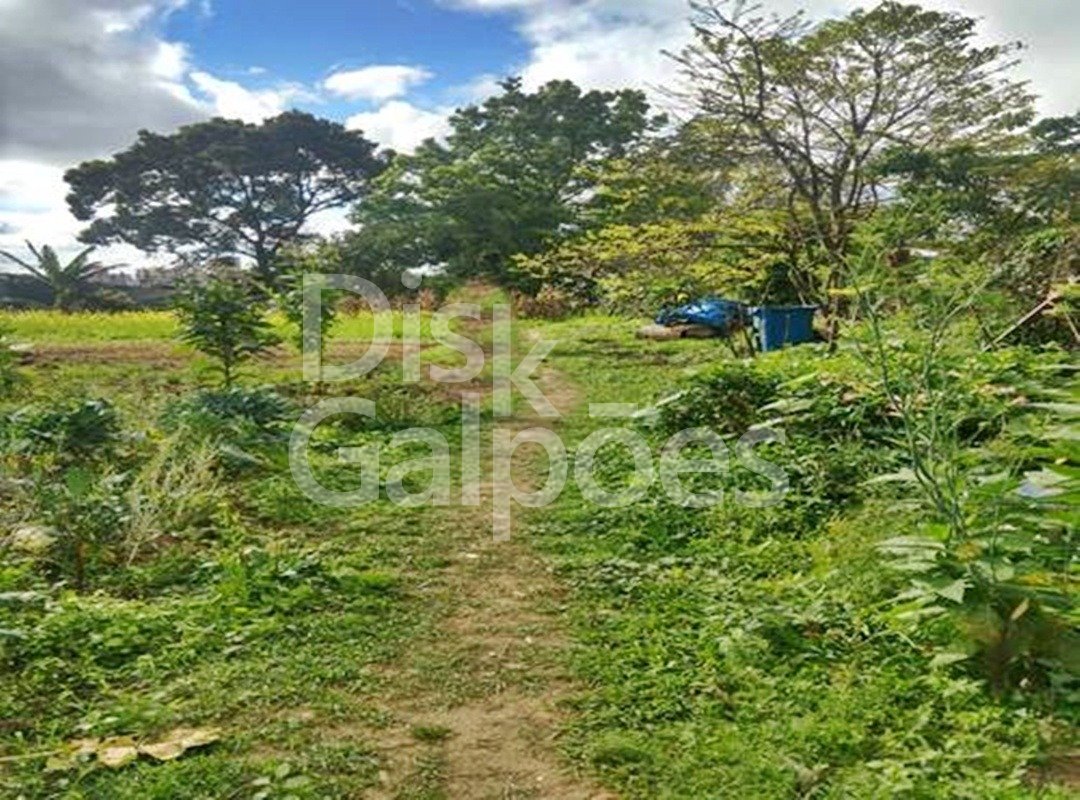 Terrenos e Áreas a venda – Conceicao