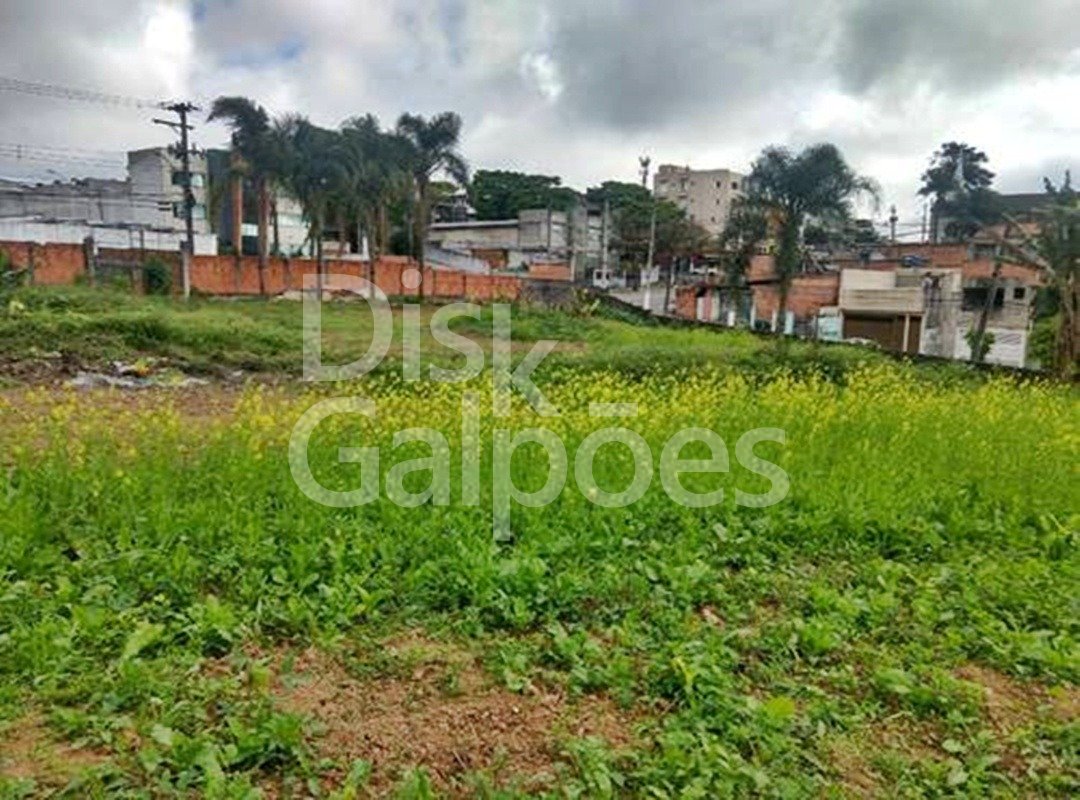 Terrenos e Áreas a venda – Conceicao