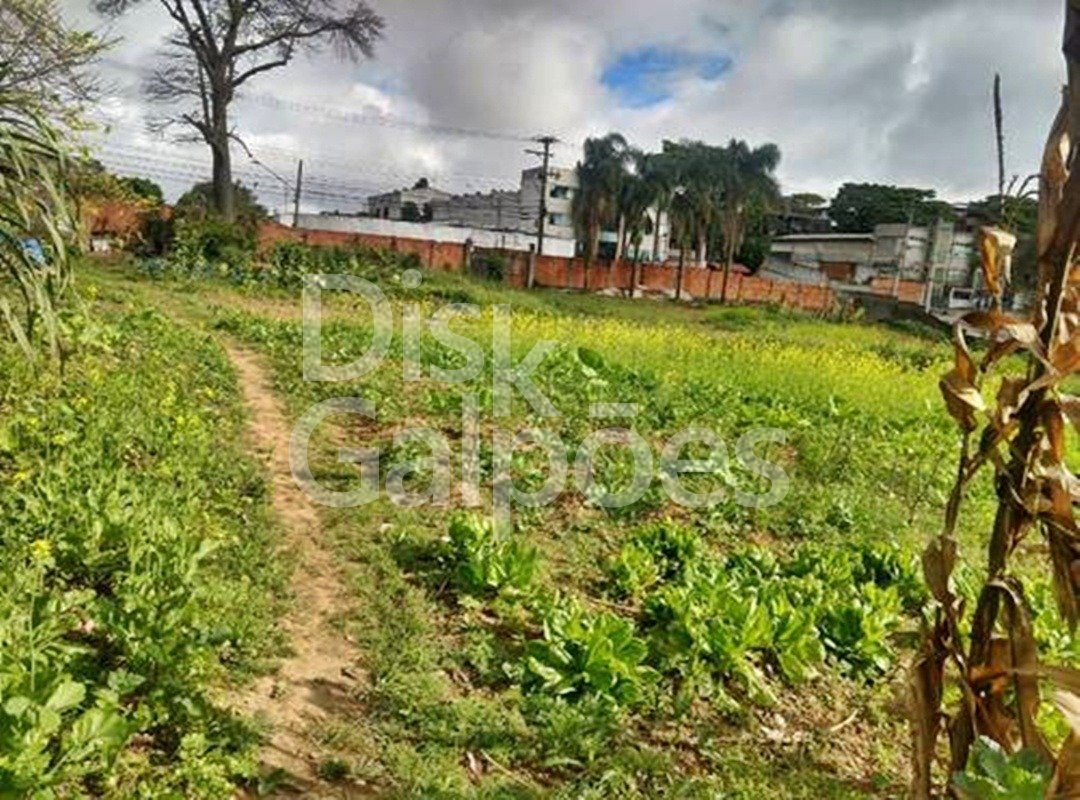 Terrenos e Áreas a venda – Conceicao