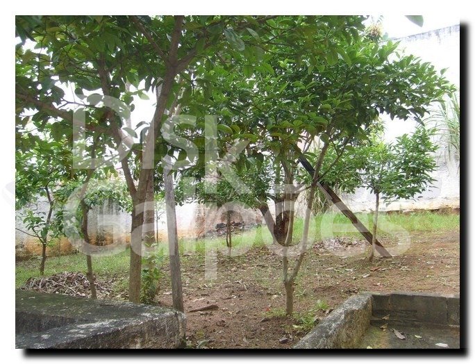 Galpão Industrial para locação e venda – Americanópolis