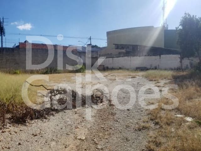 Terrenos e Áreas para locação – Jardim Utinga