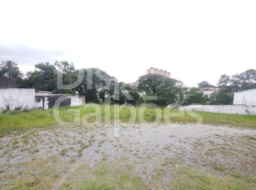 Terrenos e Áreas para locação – Alves Dias
