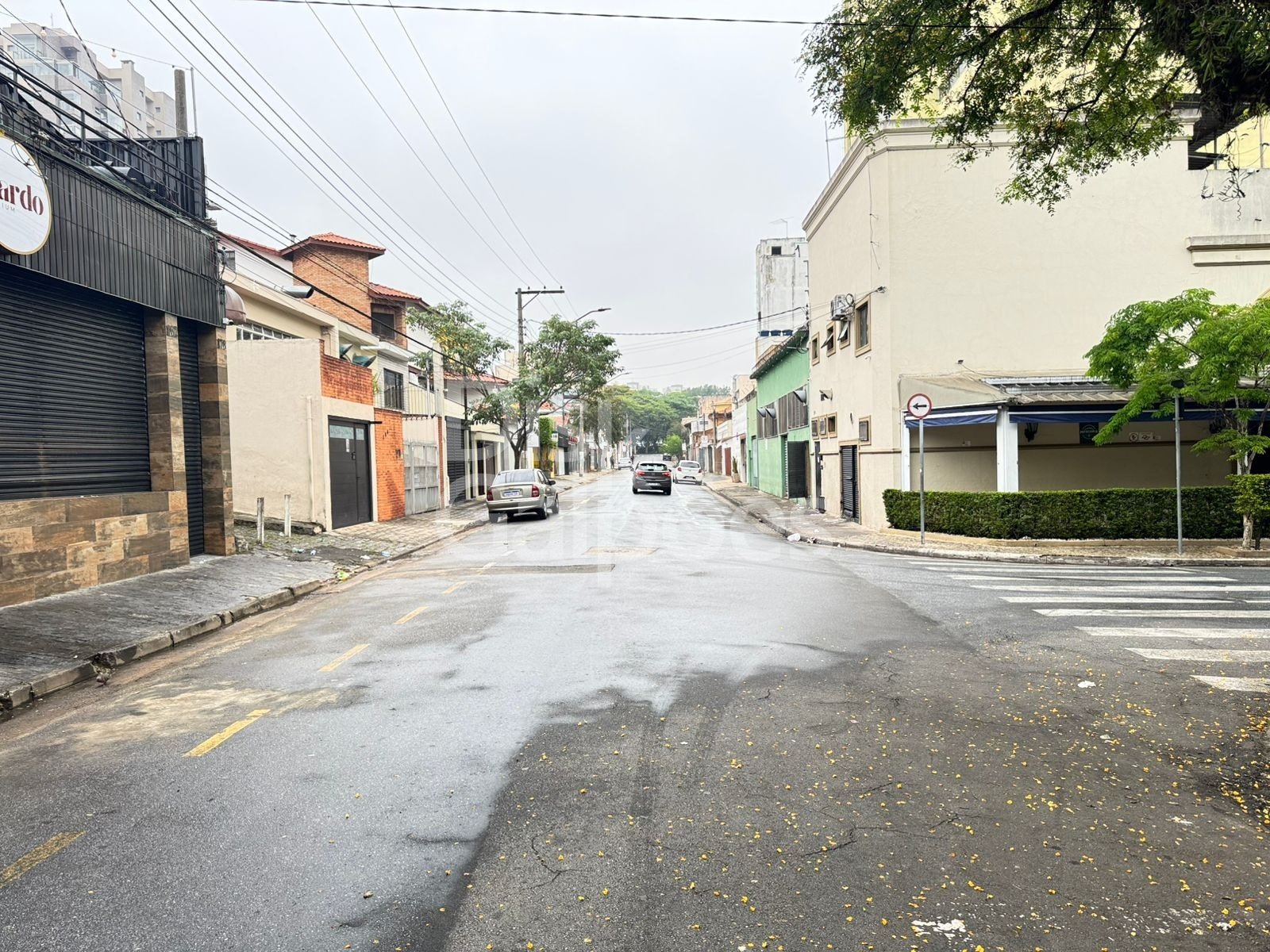Terrenos e Áreas a venda – Jardim Do Mar