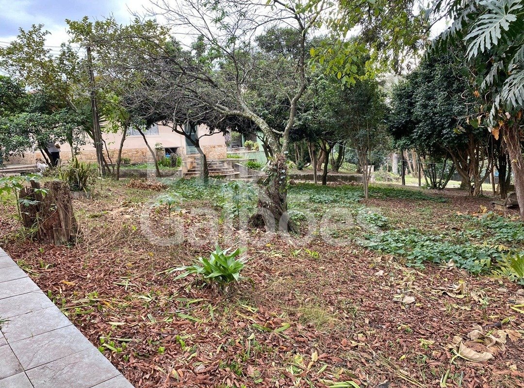 Terrenos e Áreas a venda – Serraria