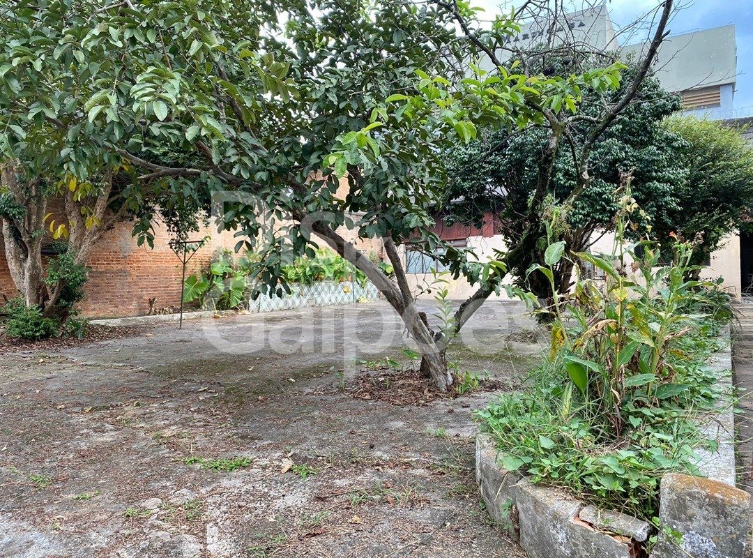 Terrenos e Áreas a venda – Serraria