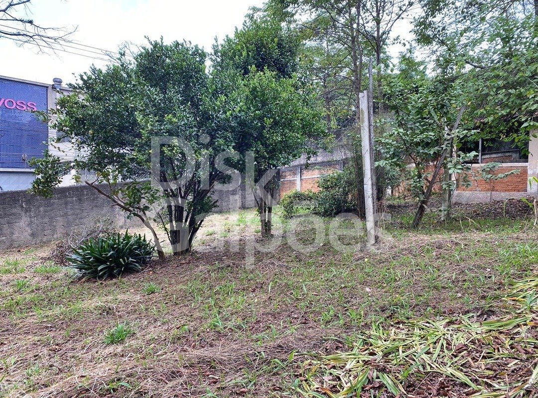 Terrenos e Áreas a venda – Serraria