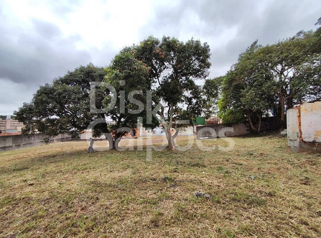 Terrenos e Áreas para locação e venda – Paulicéia