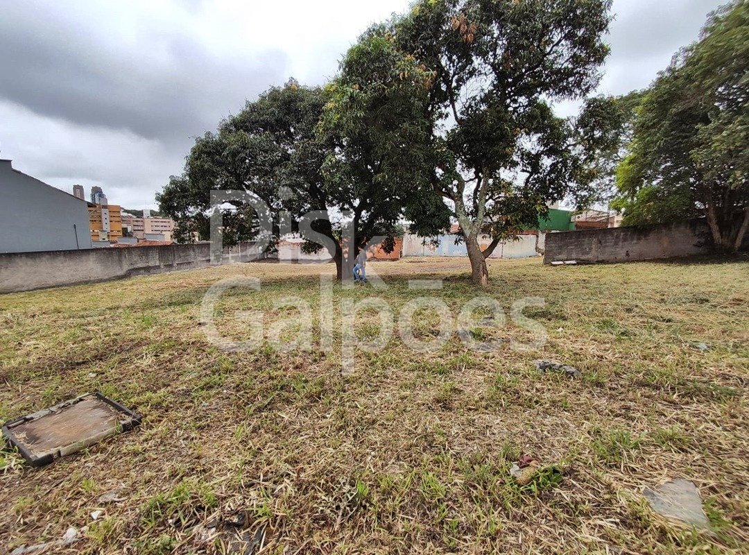 Terrenos e Áreas para locação e venda – Paulicéia