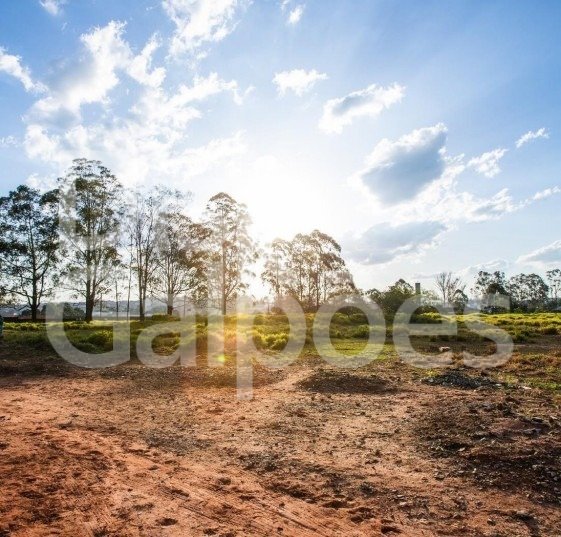 Terrenos e Áreas para locação e venda – Cooperativa