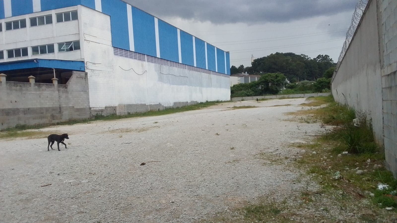 Terrenos e Áreas com 0m² para Aluguel – Guarulhos