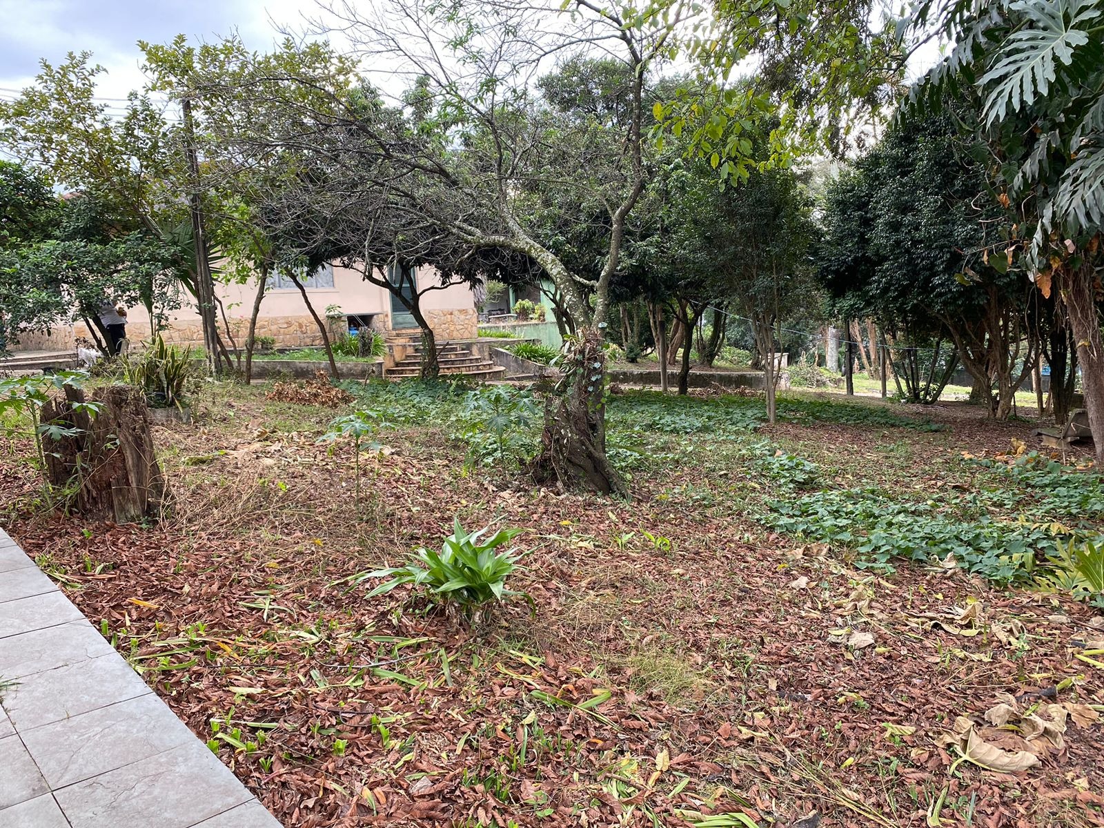 Terrenos e Áreas com 0m² para Venda – Diadema