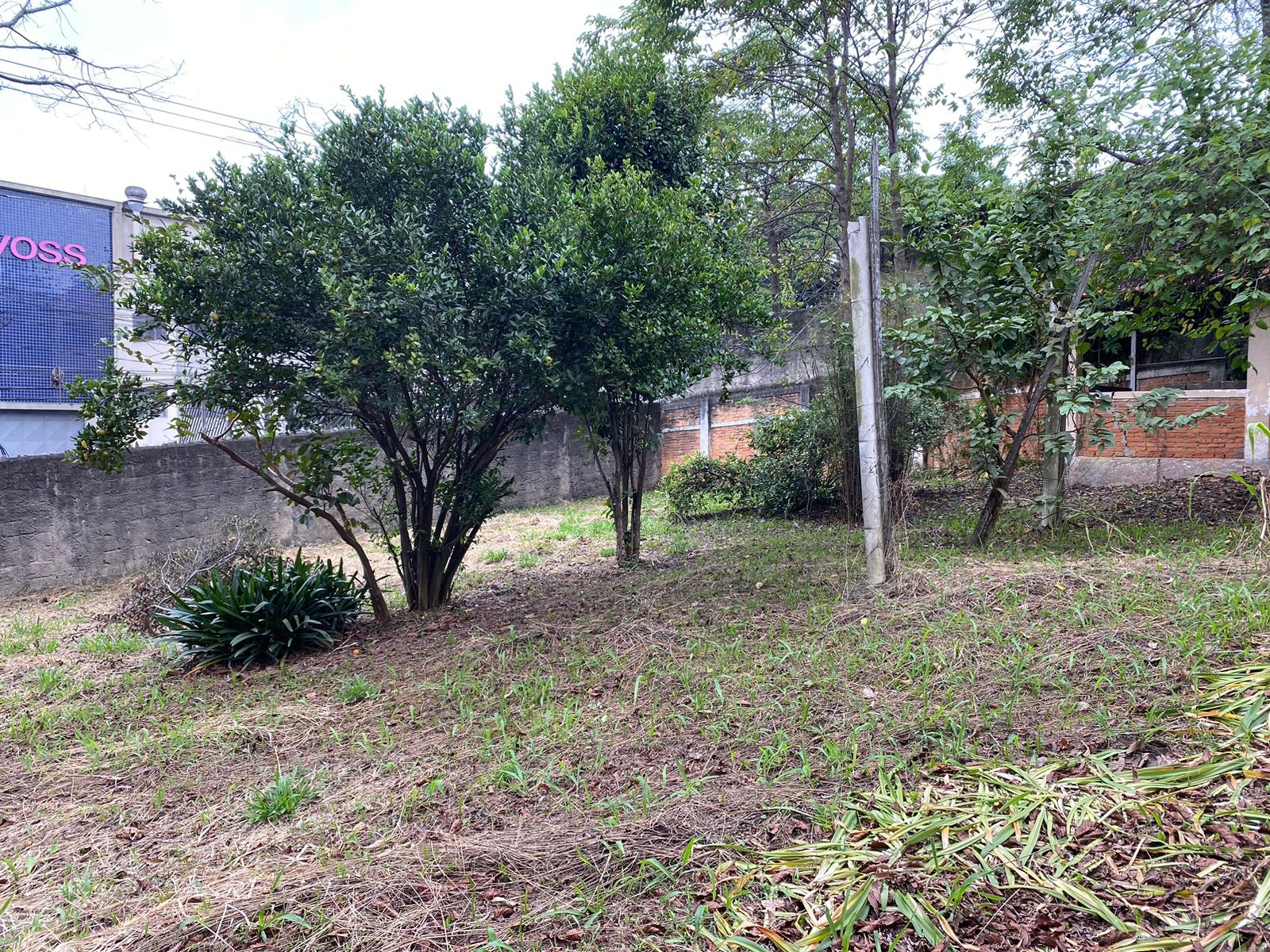 Terrenos e Áreas com 0m² para Venda – Diadema