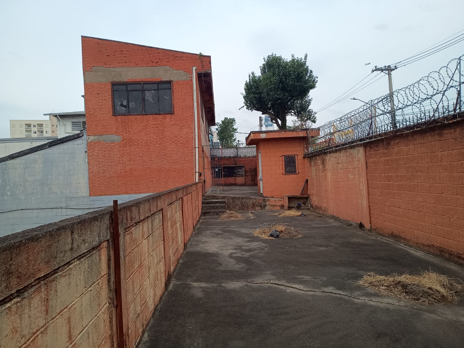Galpão Industrial com 829m² para Aluguel – Diadema - foto 5